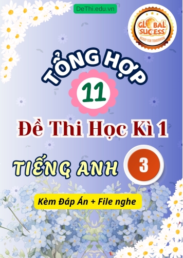 Tổng hợp 11 Đề thi học kì 1 môn Tiếng Anh 3 Global Success (Kèm đáp án và File nghe)